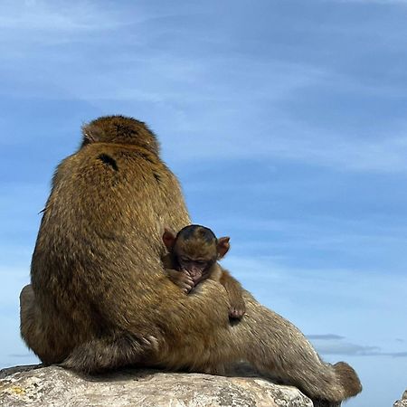 Sunny Gibraltar Lägenhet Exteriör bild